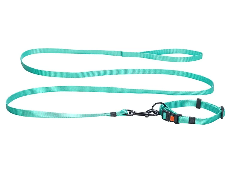 Collier avec laisse - Image 2