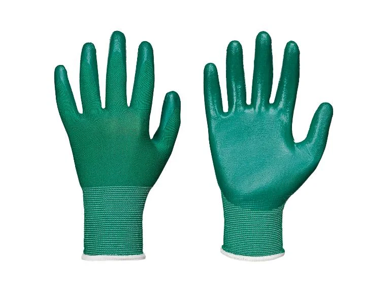 Lot de 12 gants en nitrile - Image 2