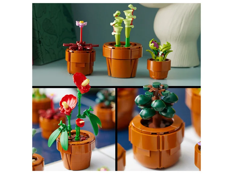 10329 Les Plantes Miniatures - Image 7