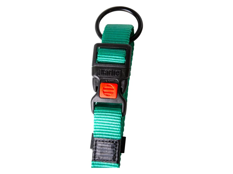 Collier avec laisse - Image 42