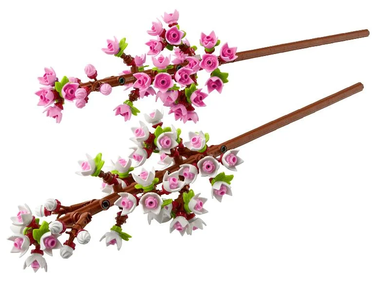 40725 Les Fleurs de cerisier - Image 3
