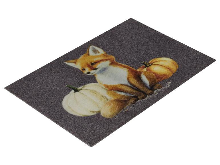 Tapis antipoussière, 40 x 60 cm — SKU 50FYAVK1SZHWDLU31 - Image 4