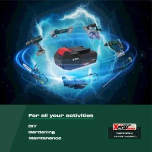 Batterie PAP 202 A1, 2 Ah, 20 V — SKU RKB5QRICVE8JY6JRX5
