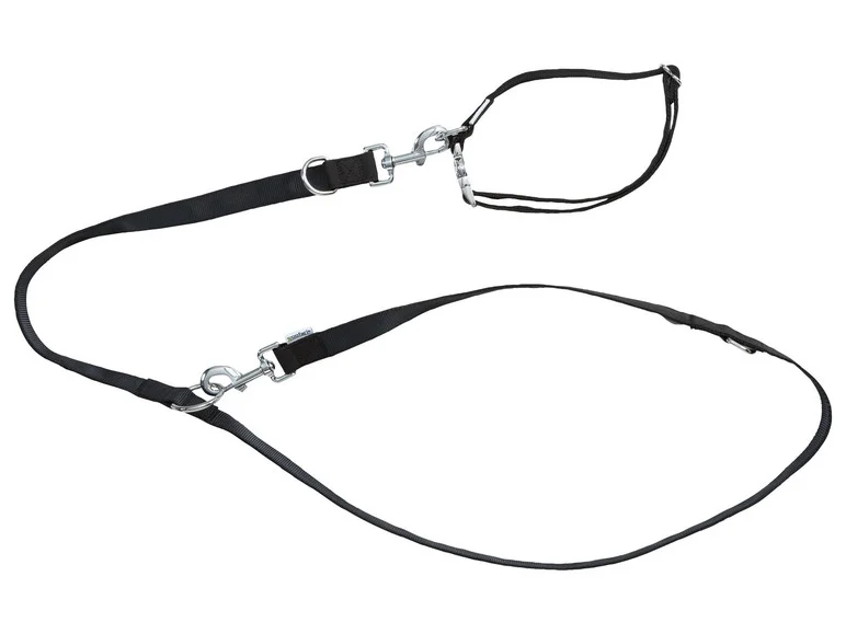 Collier et laisse pour chiens - Image 5