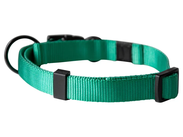 Collier avec laisse - Image 16