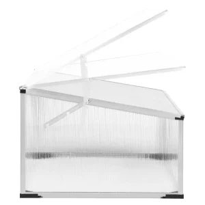 Mini-serre de jardin, 100 x 30/40 x 60 cm, 0,2m3