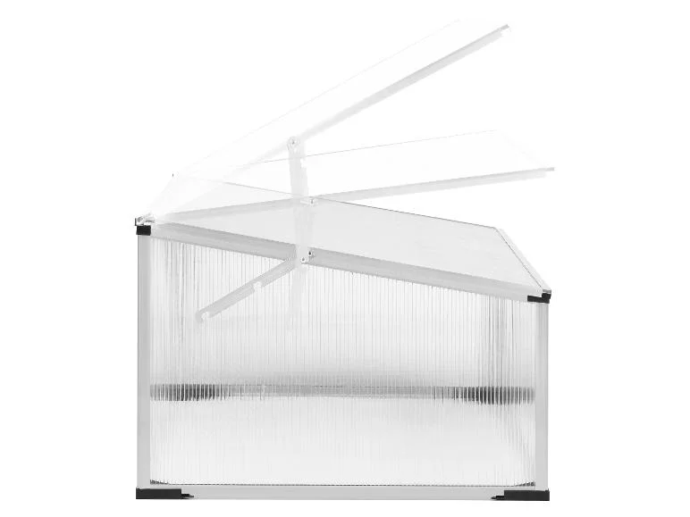 Mini-serre de jardin, 100 x 30/40 x 60 cm, 0,2m3