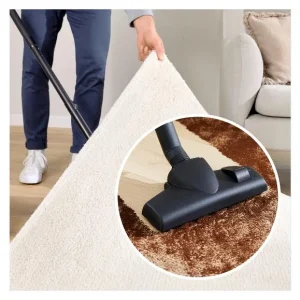 Aspirateur traîneau avec sac BGDS2BAL, 900 W