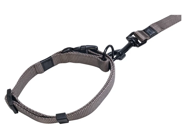 Collier avec laisse - Image 23