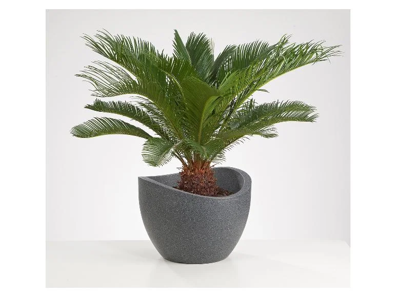 Pot à plantation Wave Globe - Image 14