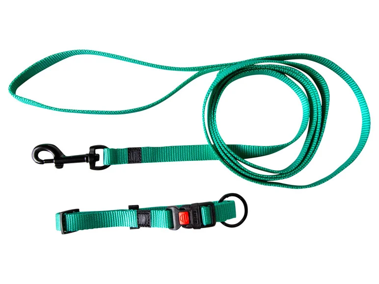 Collier avec laisse - Image 32
