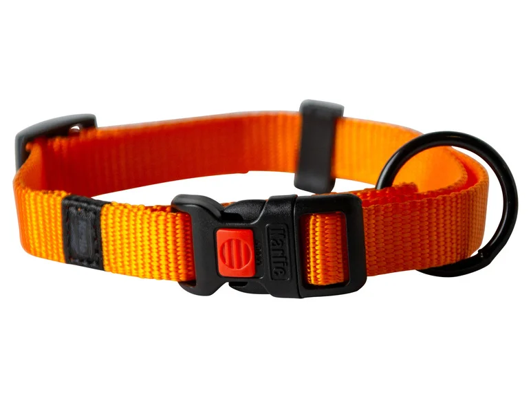 Collier avec laisse - Image 25