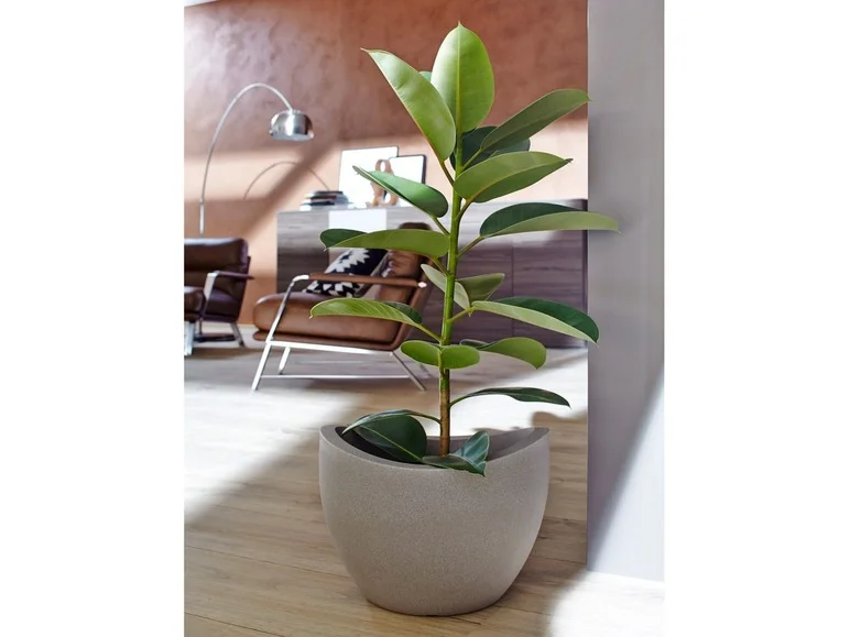 Pot à plantation Wave Globe - Image 13