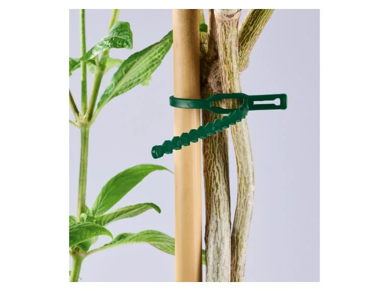 Set de supports ou fils pour plantes - Image 2