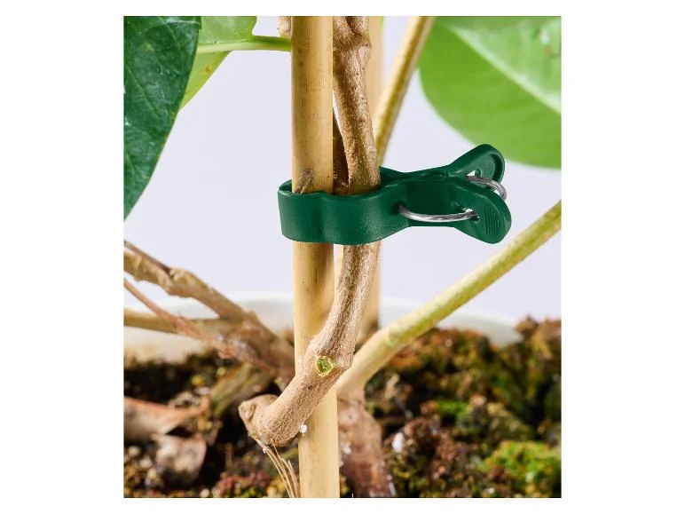 Set de supports ou fils pour plantes - Image 15