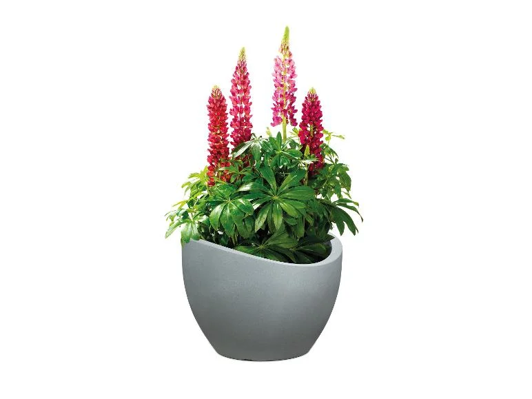 Pot à plantation Wave Globe - Image 9