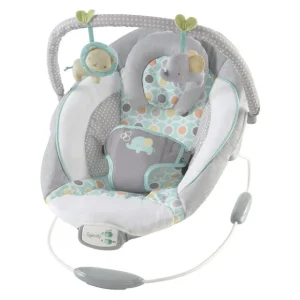 Transat bébé IngenuityTM, Morrison