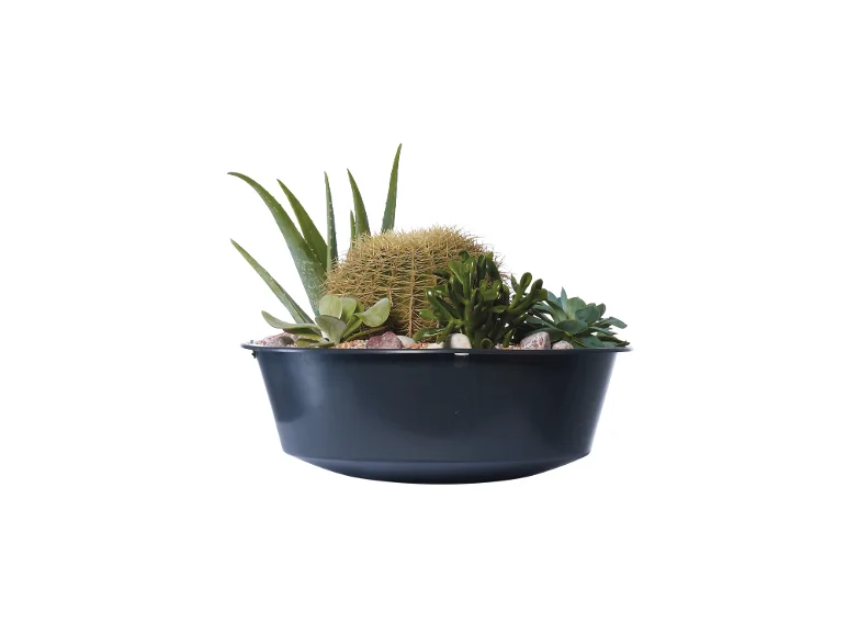 Récupérateur d'eau de pluie VASO 2in1 Decor, 220 L