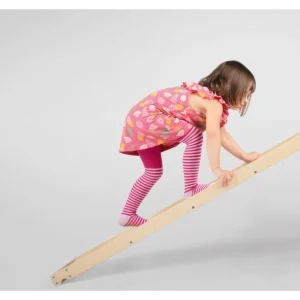 Échelle d’escalade et toboggan 2 en 1