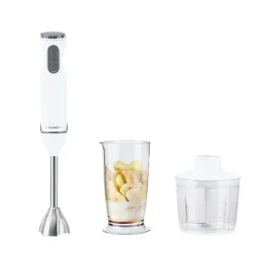 Set de mixeur plongeant