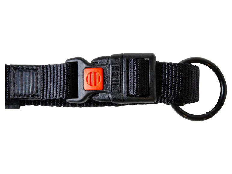 Collier avec laisse - Image 27