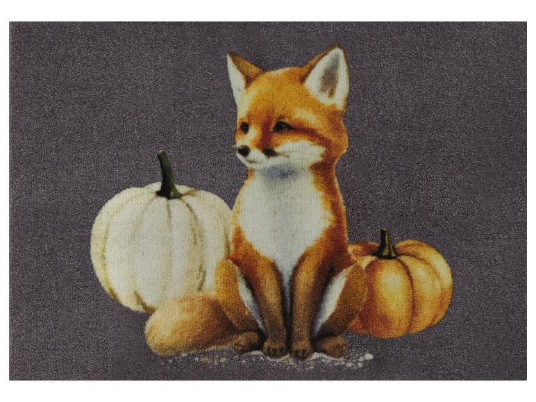 Tapis antipoussière, 40 x 60 cm — SKU 50FYAVK1SZHWDLU31 - Image 2