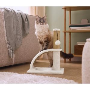Griffoir avec planche ou brosse de massage
