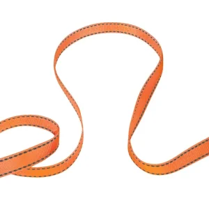 Laisse extensible XL, 10 m