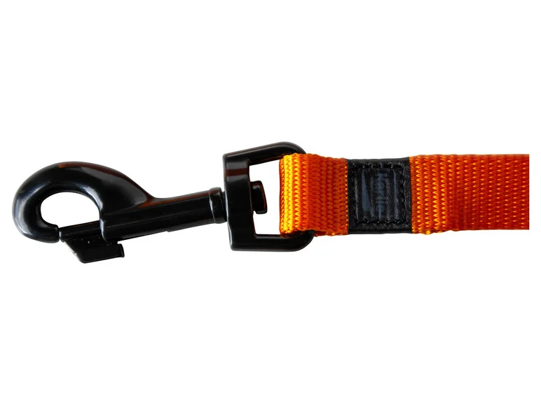 Collier avec laisse - Image 34