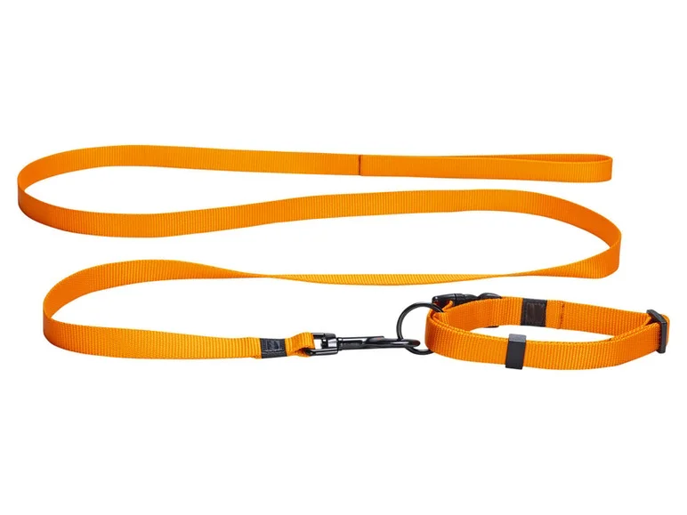 Collier avec laisse - Image 4