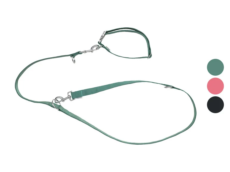 Collier et laisse pour chiens - Image 2