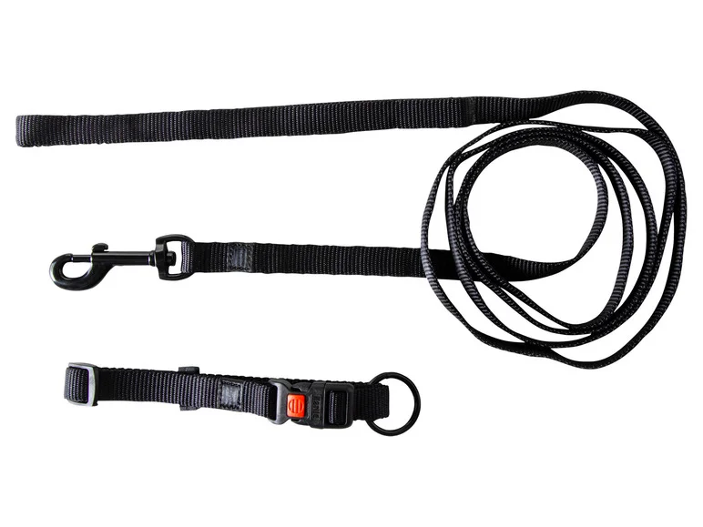 Collier avec laisse - Image 36
