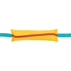 Jouets pour chiens