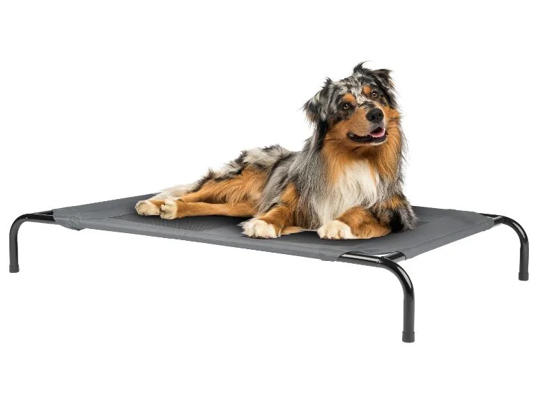 Lit de camp pour animal domestique, 130 x 19 x 80 cm - Image 3