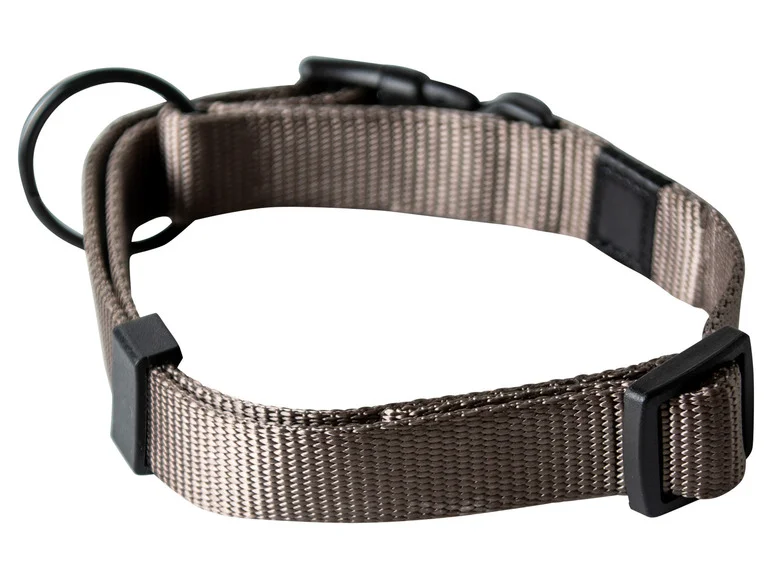 Collier avec laisse - Image 17