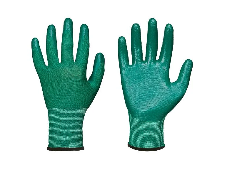 Lot de 12 gants en nitrile - Image 4