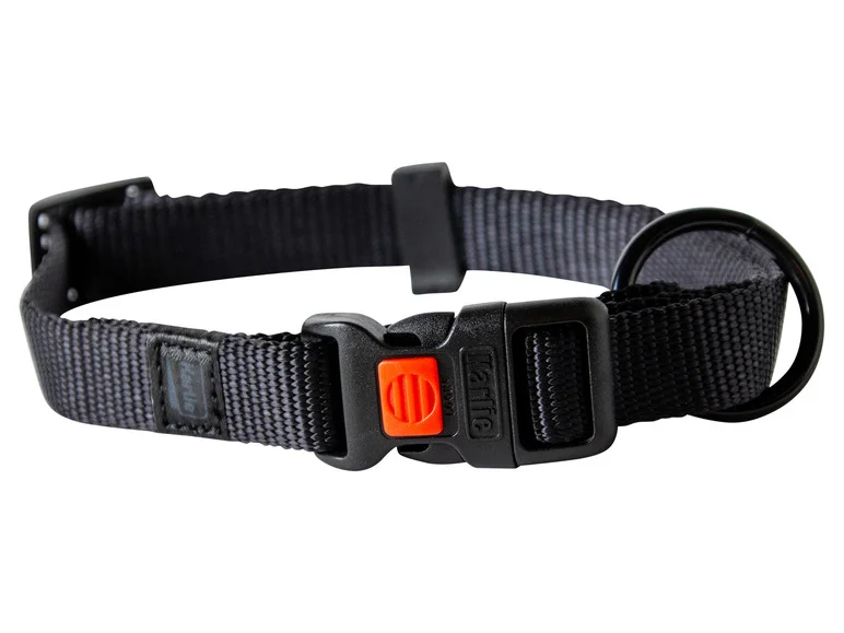 Collier avec laisse - Image 3