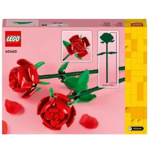 40460 Les roses