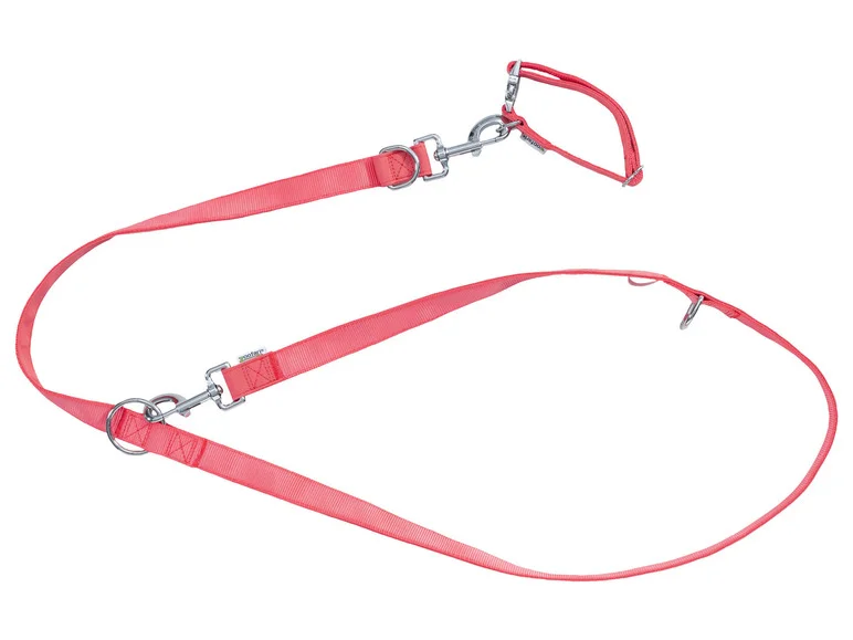 Collier et laisse pour chiens - Image 3