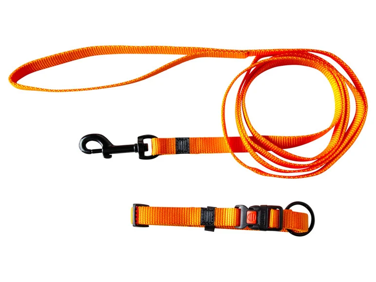 Collier avec laisse - Image 39