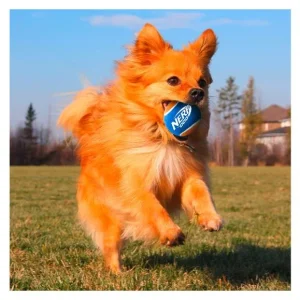Lanceur ou Balles de tennis