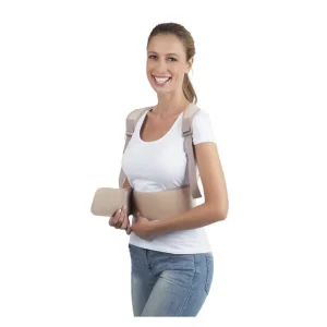 Ceinture dorsale
