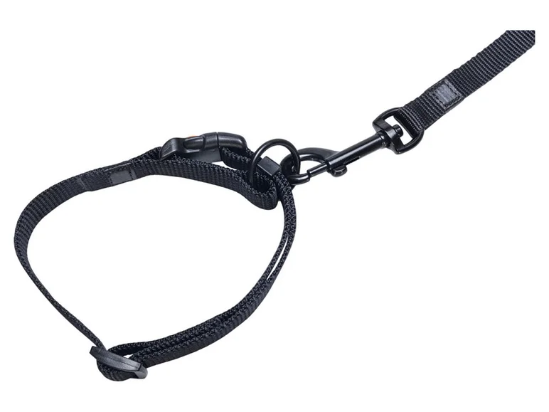 Collier avec laisse - Image 7