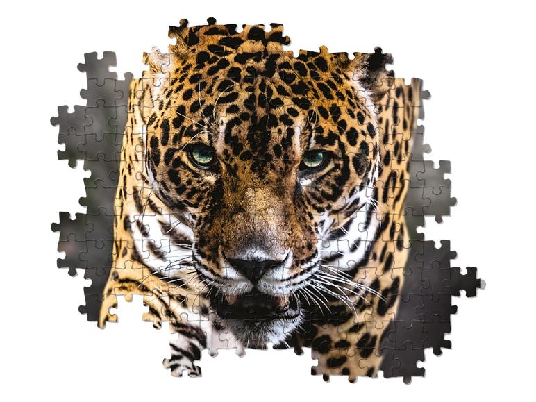Puzzle - Image 17