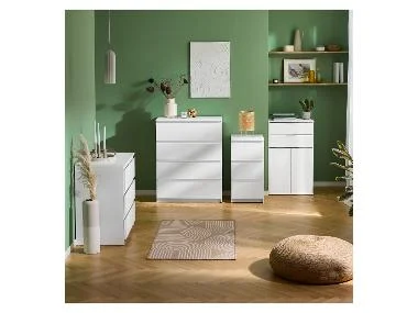 concombre - Image 4