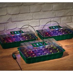 Lot de 3 mini-serres à LED