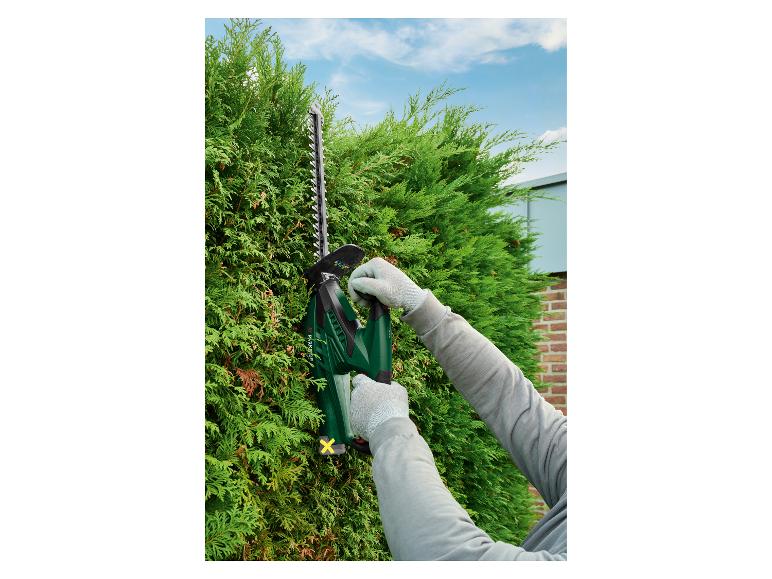 Taille-haies sans fil PHSA 12 B1, 12 V - Image 4