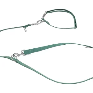 Collier et laisse pour chiens