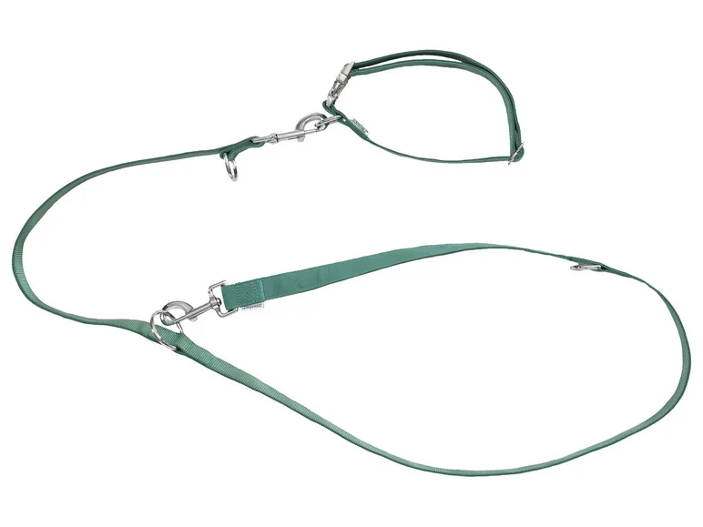 Collier et laisse pour chiens