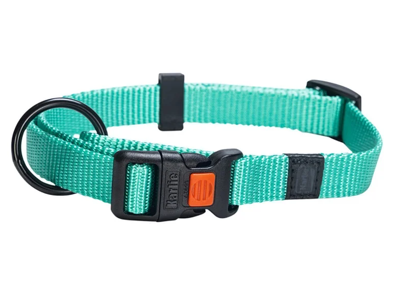 Collier avec laisse - Image 9